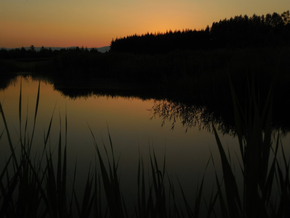 Krasny podvecer nad jezirkem v Suche 